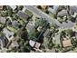 8 Surville Place, Mairangi Bay, Auckland - Carousel 1