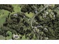 64 Paremoremo Road, Lucas Heights, Auckland - Carousel 1