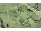 375 Green Road, Warkworth - Carousel 1