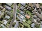 16 Eaton Road, Hillsborough, Auckland - Carousel 1