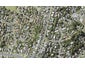 127 Arran Road, Browns Bay, Auckland - Carousel 1