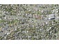 21A Knights Road, Rothesay Bay, Auckland - Carousel 1