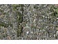 24 Dorchester Street, Meadowbank, Auckland - Carousel 1