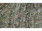 52B Richards Avenue, Forrest Hill, Auckland - Carousel 1
