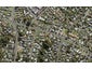 23 Exmouth Road, Northcote, Auckland - Carousel 1