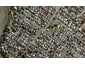 52 Alford Street, Waterview, Auckland - Carousel 1