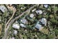 14 Tiri Road, Oneroa, Waiheke Island - Carousel 1