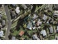 7 Sofs Lane, Mount Wellington, Auckland - Carousel 1