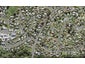 107A Moire Road, West Harbour, Auckland - Carousel 1