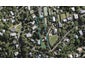 4 Giles Road, Ostend, Waiheke Island - Carousel 1