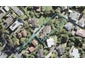 10 Geoffrey Road, Torbay, Auckland - Carousel 1