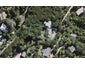 36 Fairview Crescent, OMIHA, WAIHEKE ISLAND - Carousel 1