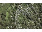 5 McEldowney Road, Titirangi, Auckland - Carousel 1