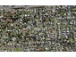 51A Shoreham Street, Avondale, Auckland - Carousel 1
