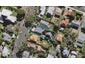 1/5 Bruce Street, Northcote Point, Auckland - Carousel 1