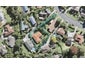 58 Stapleford Crescent, Browns Bay, Auckland - Carousel 1