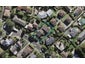 1/31 Edgeworth Road, Glenfield, Auckland - Carousel 1