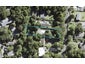 10 Sylvan Valley Avenue, Titirangi, Auckland - Carousel 1