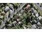 8 Meola Road, Westmere, Auckland - Carousel 1