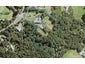 86 Carter Road, Oratia, Auckland - Carousel 1