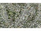 140 Deep Creek Road, Torbay, Auckland - Carousel 1