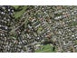 4/63B Owairaka Avenue, Mount Albert, Auckland - Carousel 1