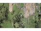 34 Urumaraki Avenue, Helensville, Helensville - Carousel 1
