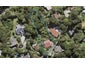 10 Tranquil Glade, Hillcrest, Auckland - Carousel 1