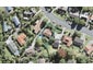 52 Stapleford Crescent, Browns Bay, Auckland - Carousel 1