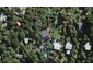45 Frank Street, Oneroa, Waiheke Island - Carousel 1