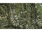 285 Konini Road, Titirangi, Auckland - Carousel 1