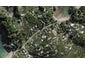 60 Great Barrier Road, Oneroa, Waiheke Island - Carousel 1
