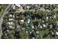 9 Putiki Road, Ostend, Waiheke Island - Carousel 1