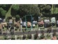 28 Arapuni Avenue, Onehunga, Auckland - Carousel 1