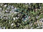 53 Trelawn Place, Cockle Bay, Auckland - Carousel 1