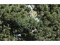 48 Mahoe Road, Titirangi, Auckland - Carousel 1