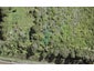 5 Te Uru Huarakau Lane, SWANSON - Carousel 1