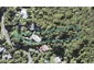 6 Ocean View Road, Huia, Auckland - Carousel 1