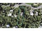 73 Warner Park Avenue, Laingholm, Auckland - Carousel 1