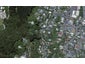 83 Duncan Terrace, Kilbirnie, Wellington - Carousel 1