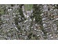 32 Elizabeth Place, Ferndale, New Plymouth - Carousel 1