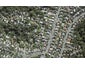 33A Balmain Road, Birkenhead, Auckland - Carousel 1