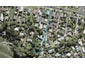 65A Beach Haven Road, Beach Haven, Auckland - Carousel 1