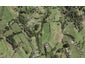 199A Kern Road, Ramarama, Drury - Carousel 1