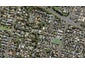 12A Merivale Avenue, Epsom, Auckland - Carousel 1