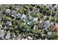 54 Paice Avenue, Sandringham, Auckland - Carousel 1