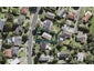 39 Cantina Avenue, Bayview, Auckland - Carousel 1