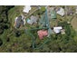 17A Ranfurly Place, Kamo, Whangarei - Carousel 1