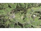 129 Lloyd Road, Riverhead, Riverhead - Carousel 1