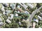 21 Elliston Crescent, Stanmore Bay, Whangaparaoa - Carousel 1